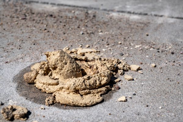 Cost of Driveway Slab Leveling in Irving